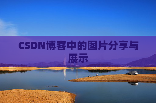 CSDN博客中的图片分享与展示